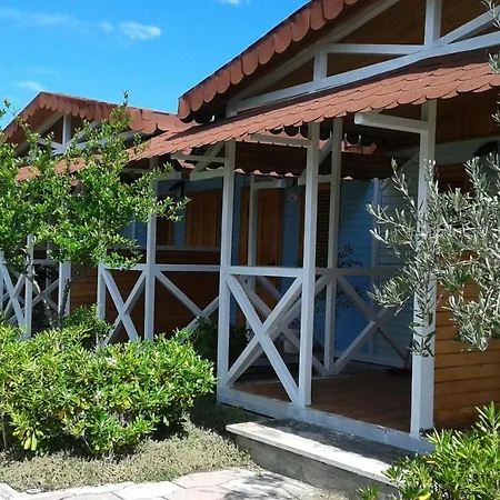 Paradiso Dei Giovani Margherita Di Savoia